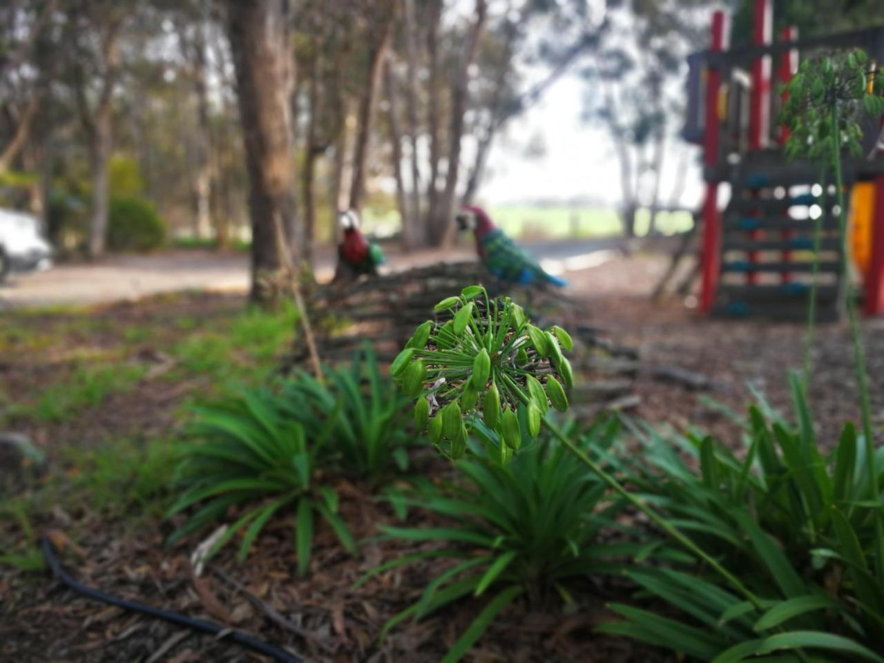 Kalimna Woods Cottages Lakes Entrance Exterior photo