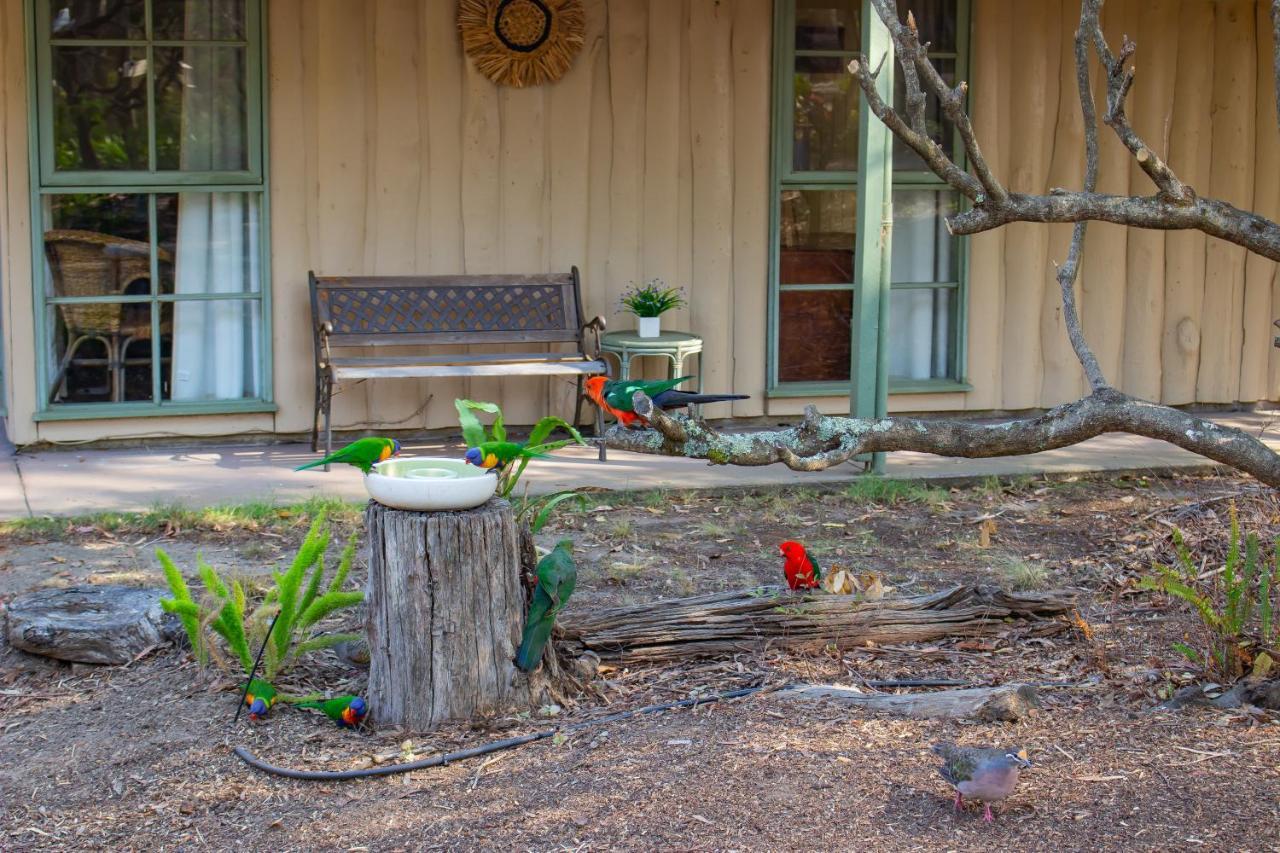 Kalimna Woods Cottages Lakes Entrance Exterior photo