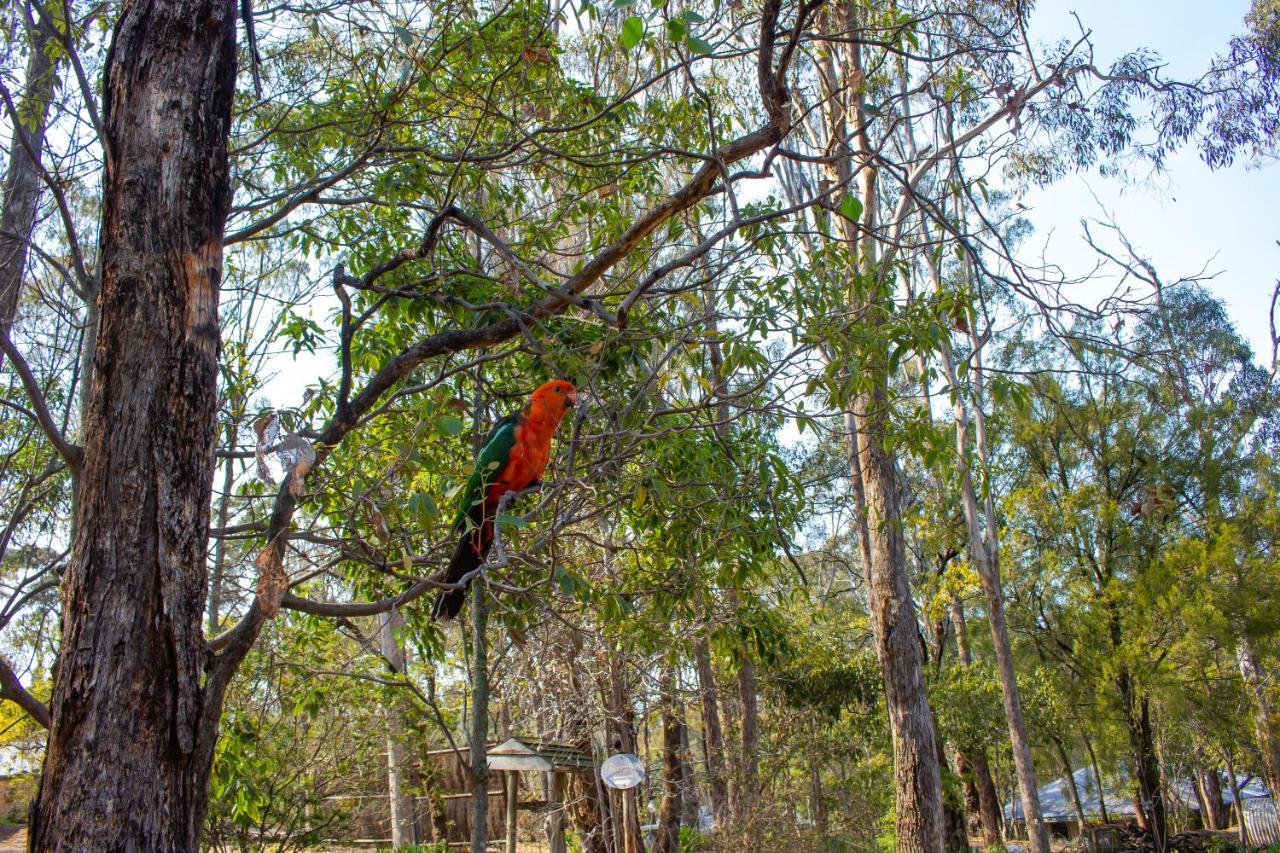 Kalimna Woods Cottages Lakes Entrance Exterior photo